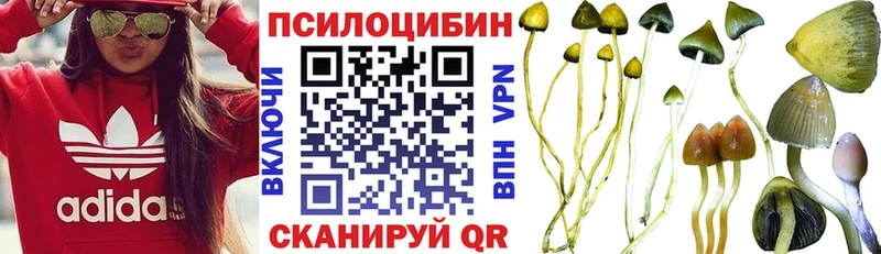 наркошоп  Невьянск  Галлюциногенные грибы Cubensis 